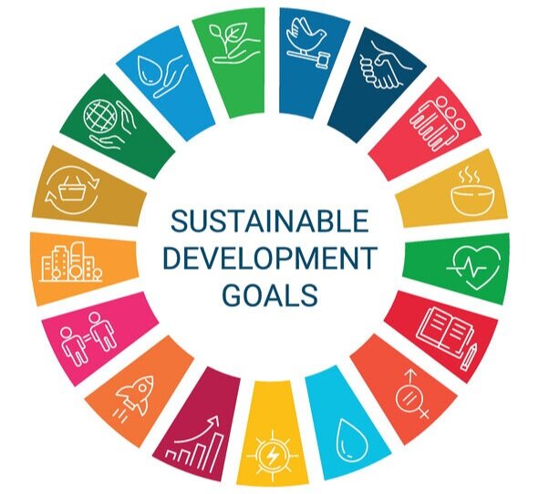 SDG Icon